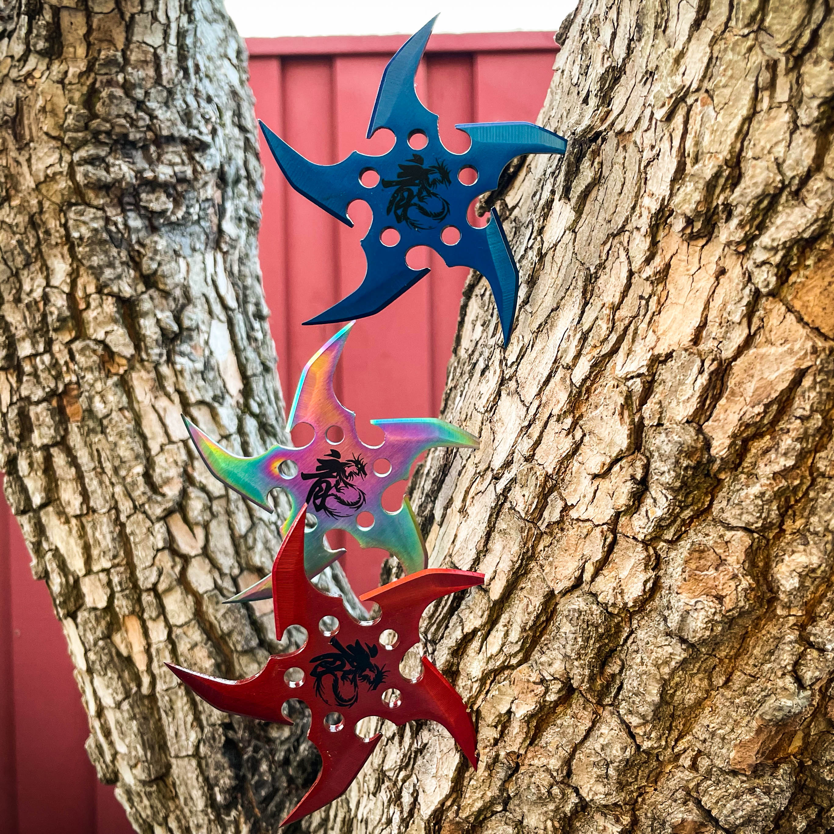 Ninja Shuriken Circular Dagger, Shinobu - 3 blades 